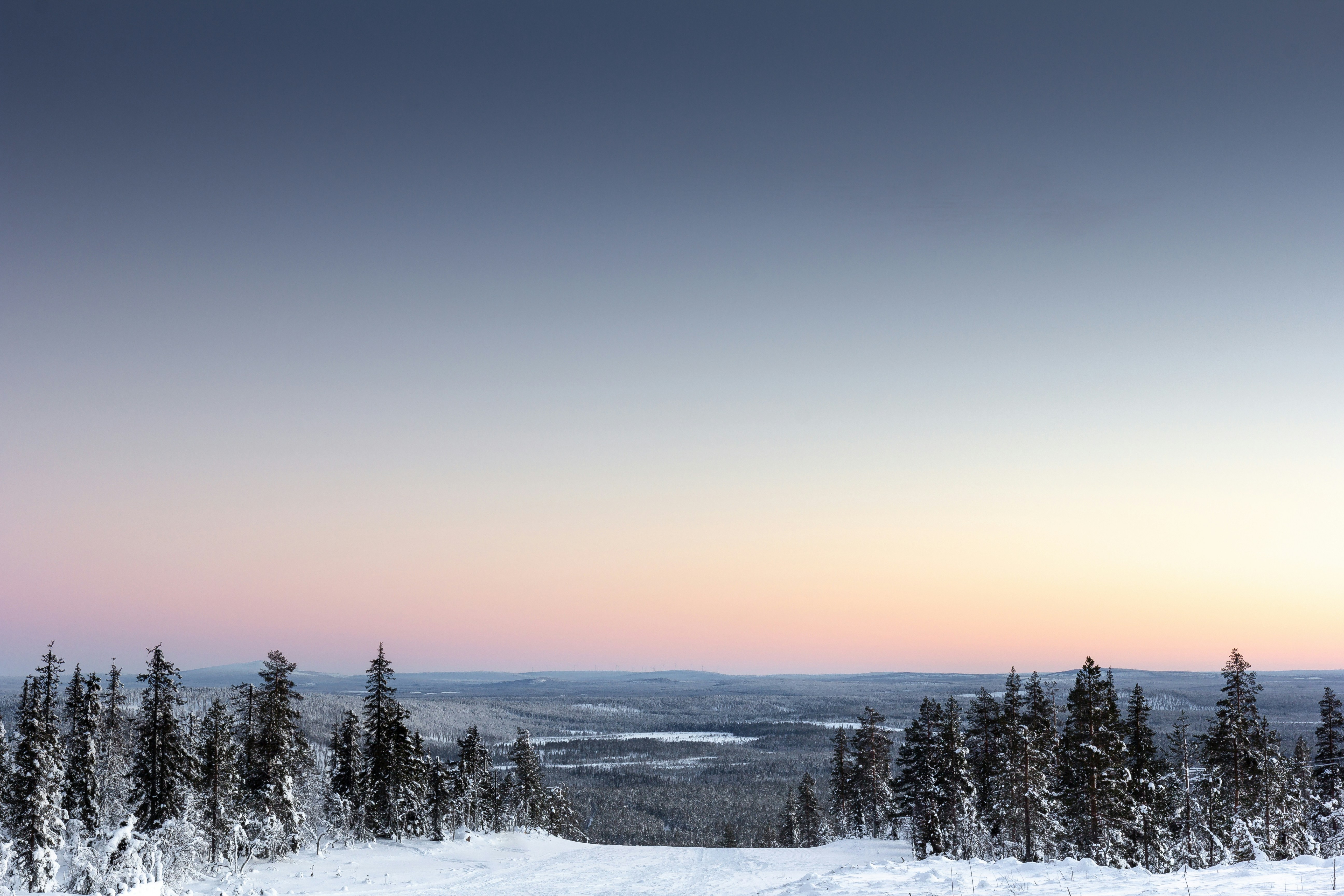 Talvinen tunturimaisema Lapista auringonlaskun aikaan — luminen havumetsä ja vaaleanpunaisena hehkuva taivas.